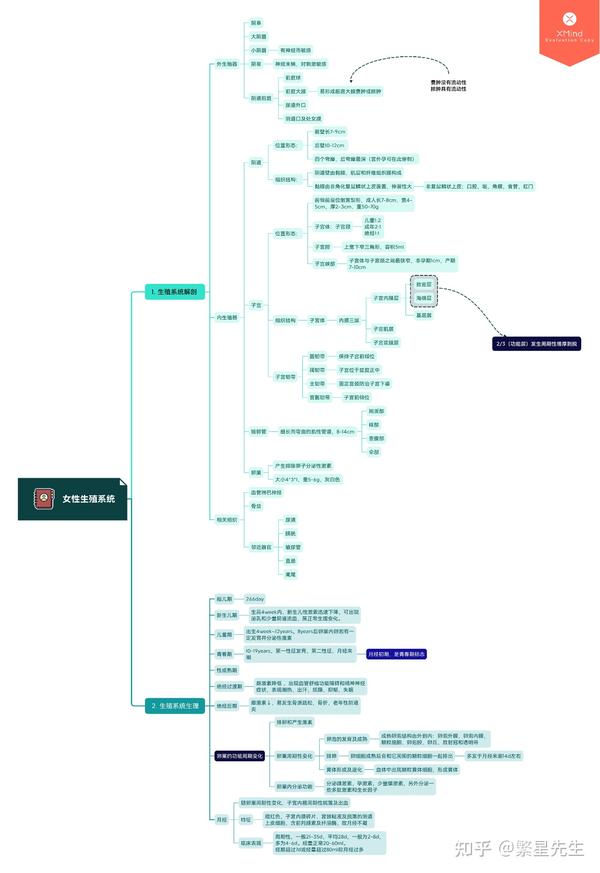 双圣大战白小姐打一生肖：生肖预测与文化解读