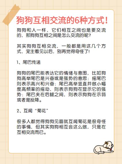 六狗精准沾香晚今平特狗：深入分析和风险风险评估