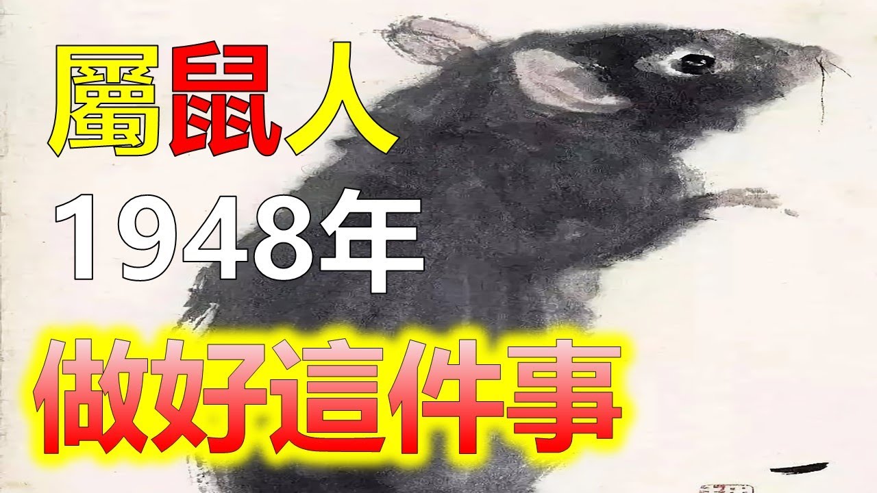 幻想身轻如燕默白小姐打一生肖：解密生肖谜题背后的文化与象征