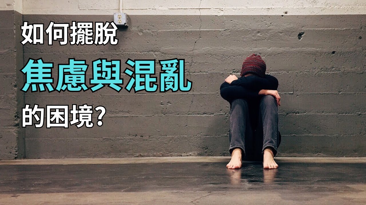 索然寡味J一生肖：深度解析十二生肖性格与生活