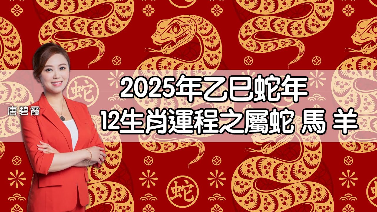 生肖计划四肖八码期期准中特深度解析：风险与机遇并存的预测策略