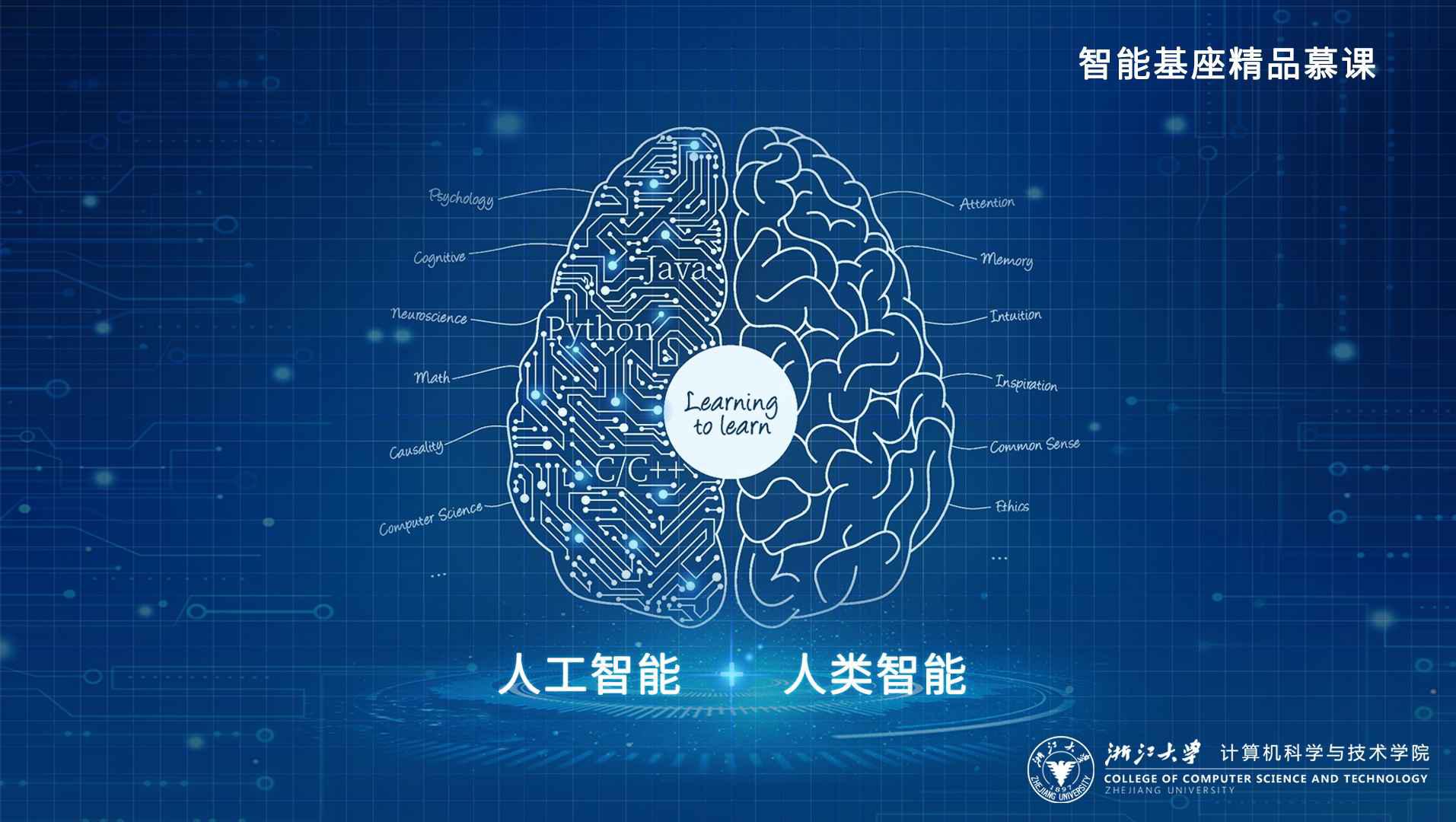 开奇码白小姐打一生肖：解密生肖密码，探寻背后的玄机