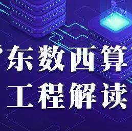 东网西理白小姐打一生狗：从古代现在的启示与解释