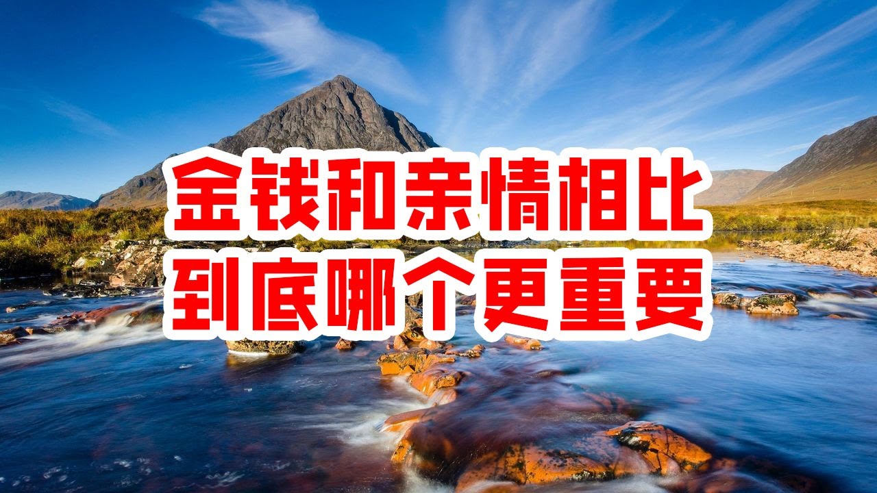 问妈妈借钱白小姐打一生肖：解密背后的数字玄机与现实困境