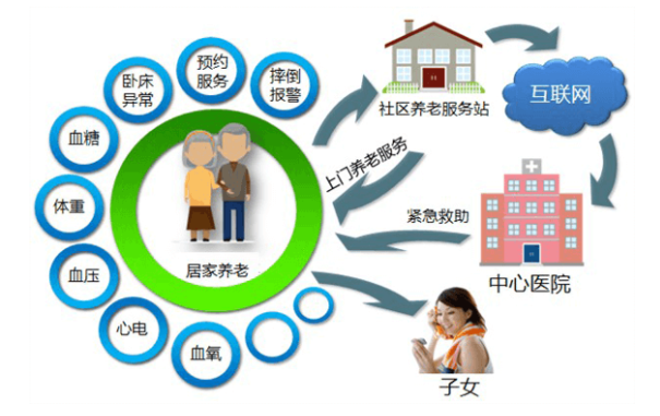 老了被抛弃的白小姐：生肖解读与社会现象剖析