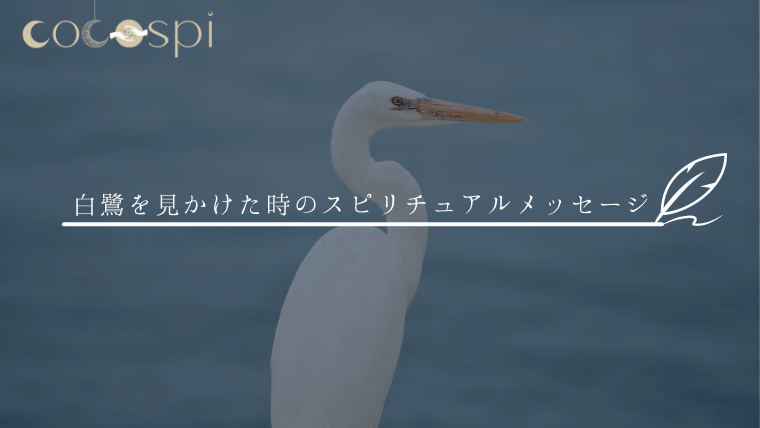 2025年2月25日 第83页