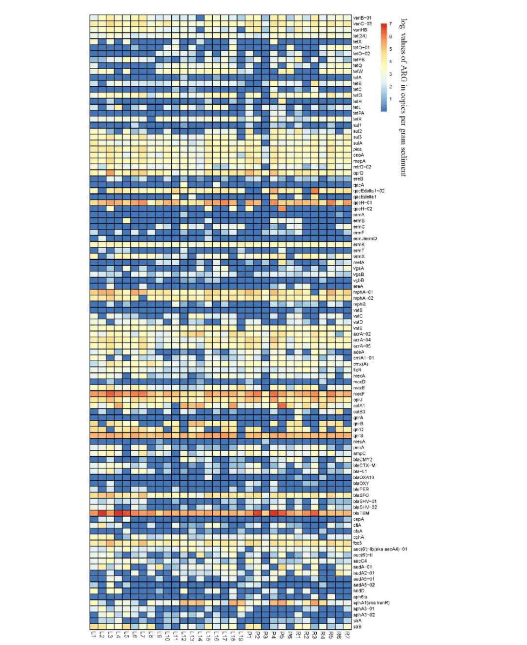 轻才小惠白小姐打一生肖：解密生肖谜题背后的文化内涵与解谜技巧