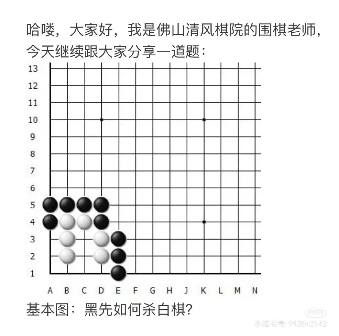 白日下荒白小姐打一生肖：深度解析及生肖预测