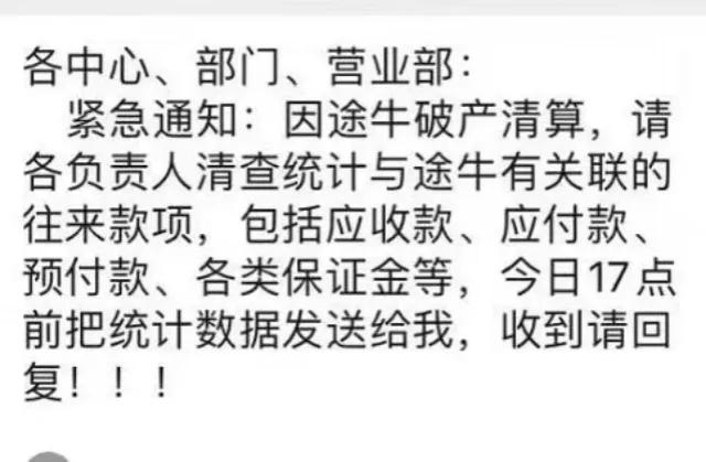 中华途胜白小姐打一生肖：深度解析及未来趋势预测