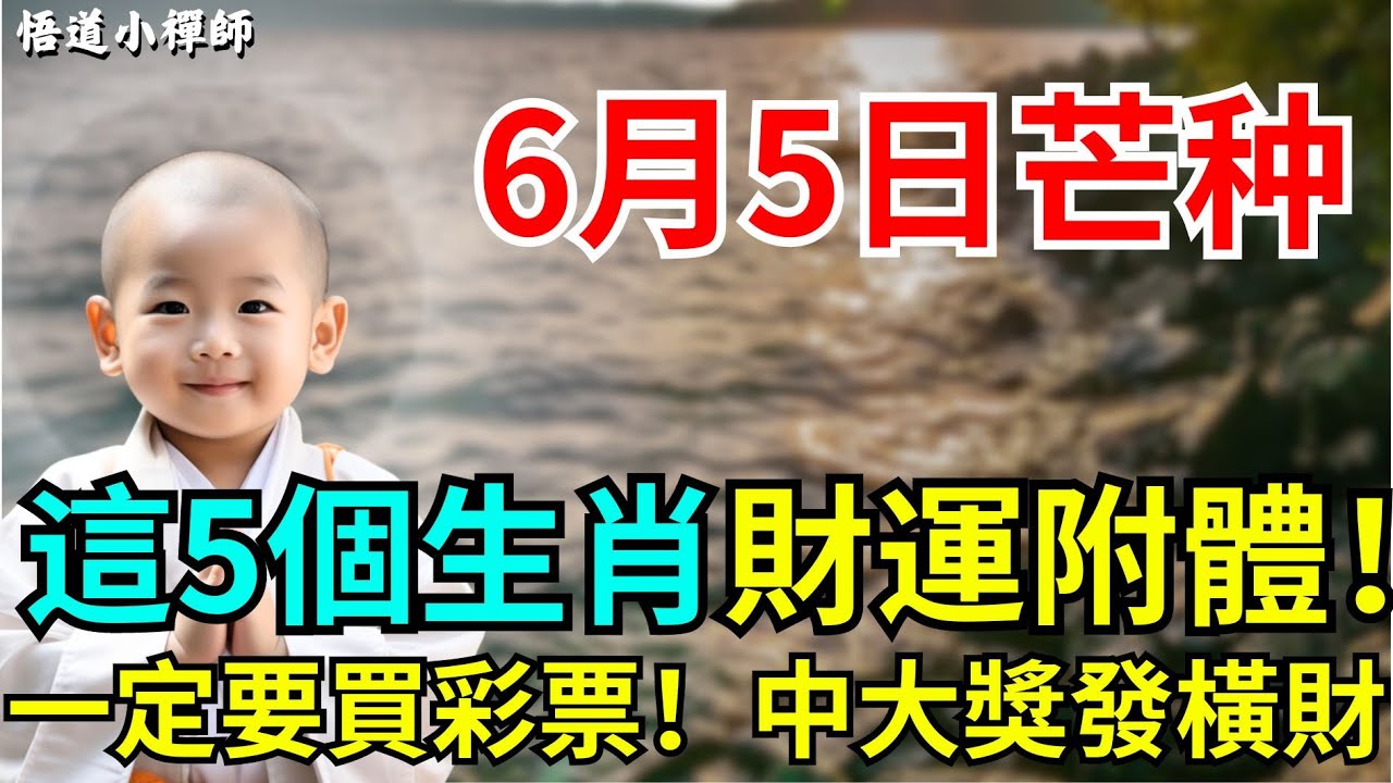 今期生肖胃子大白小姐的秘密：从数字到文化的分析