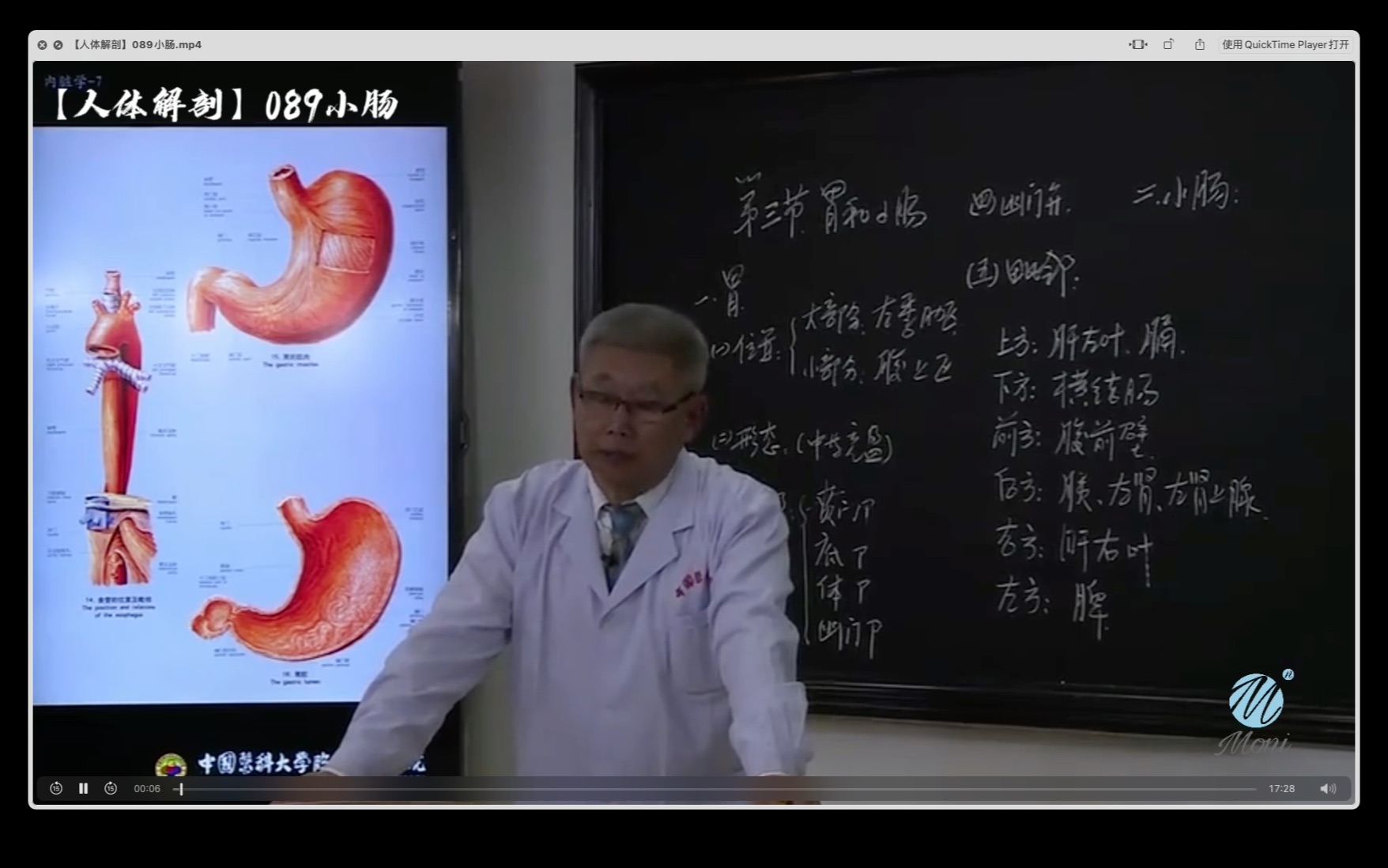 蝎毒心肠白小姐打一生肖：深度解析生肖背后的隐喻与文化解读