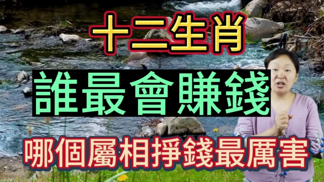 磨龙漫灌白小姐打一生肖：深度解析生肖谜题背后的文化密码