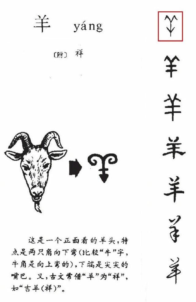 探秘木字旁加生肖：文化内涵、演变及现代应用