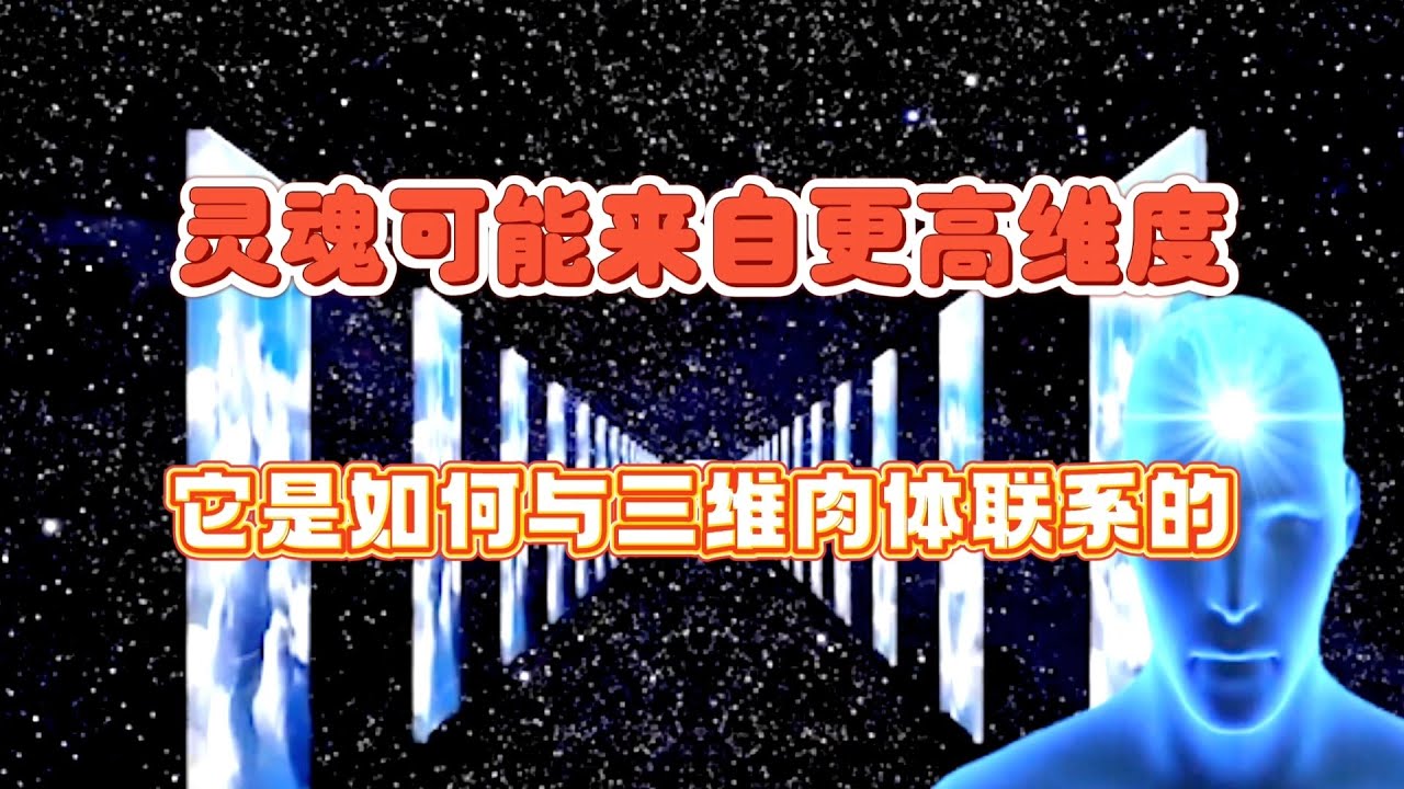 2025澳门今晚心水玄机深度解析：揭秘玄机背后的预测方法与风险