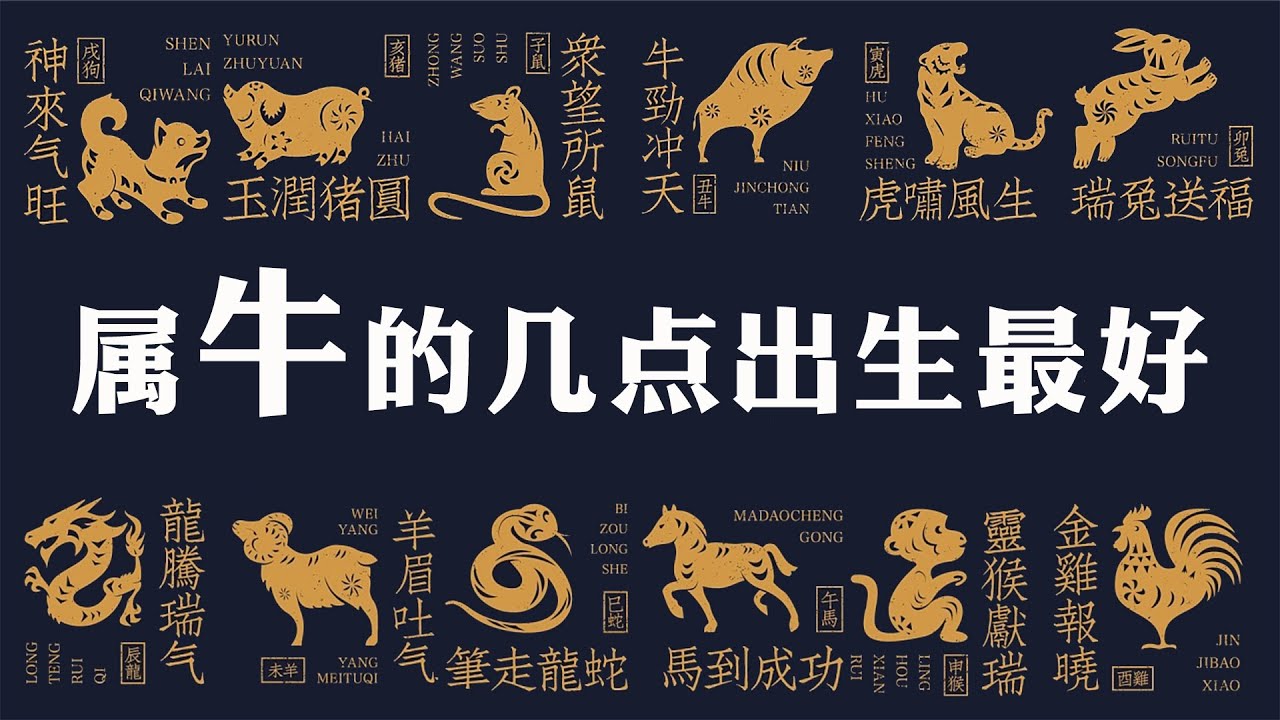 牛造记猜一生八字：从天无倒到民族传说的深层分析