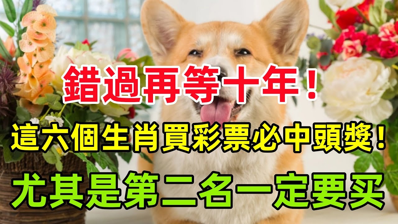 收录机猜一生肖：趣味解谜与生肖文化巧妙结合的深度解读