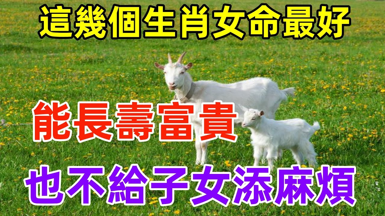 寸()是惜白小姐打一生肖：深度解析生肖谜题与背后的文化密码