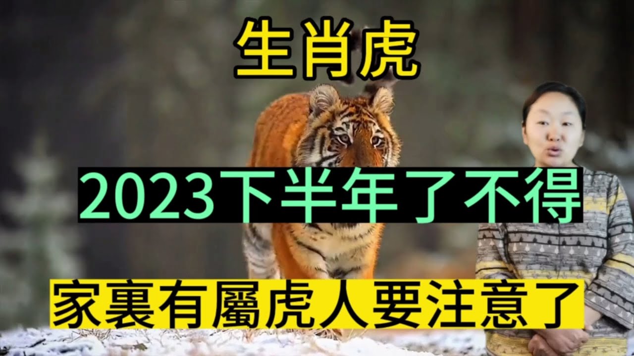 塘佰虎猜一生肖：生肖预测的趣味与挑战