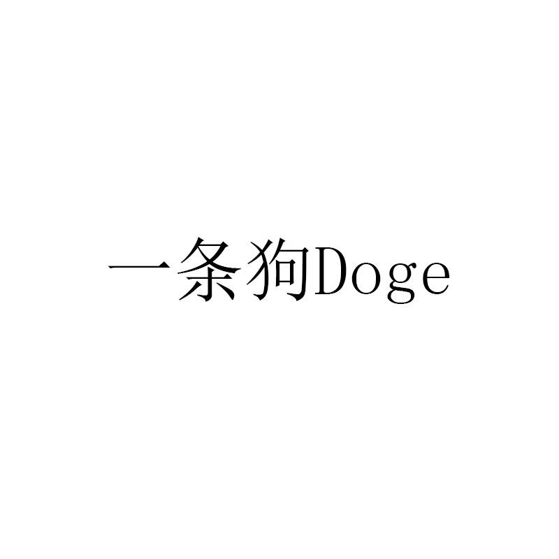 2025年2月19日 第10页