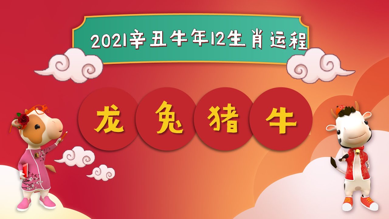 该死的月考！猜一生肖：解谜学生压力与生肖预测的玄学关联