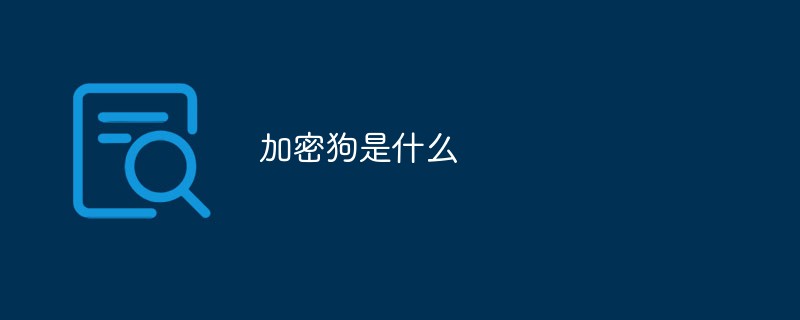 最准一狗一码100%精准的评论：分析其优劣和存在风险