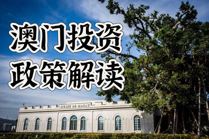 深度解析：澳门精选2025澳门精选门正版免费公开澳的机遇与挑战