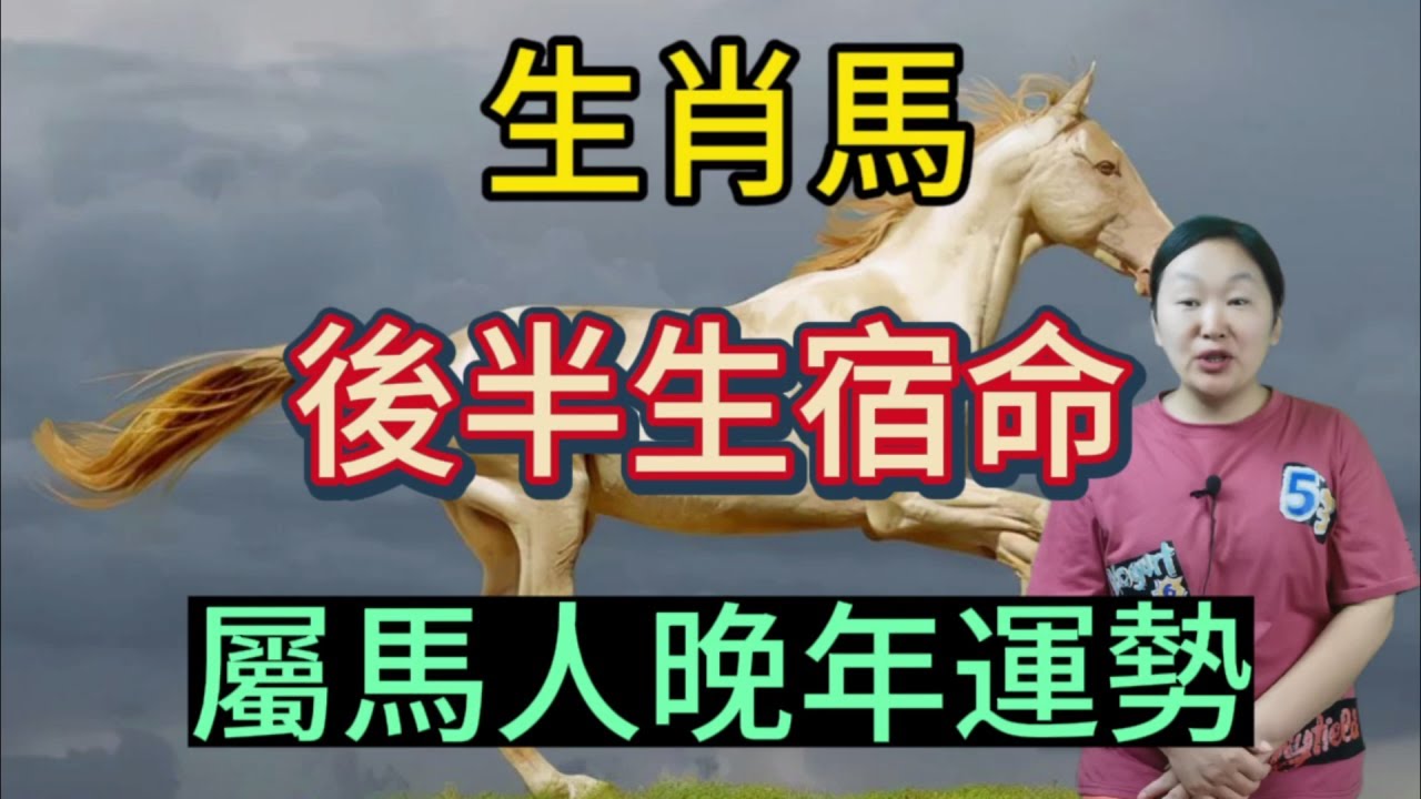 龙马传秋波白小姐打一生肖：深入解析生肖谜题及文化内涵