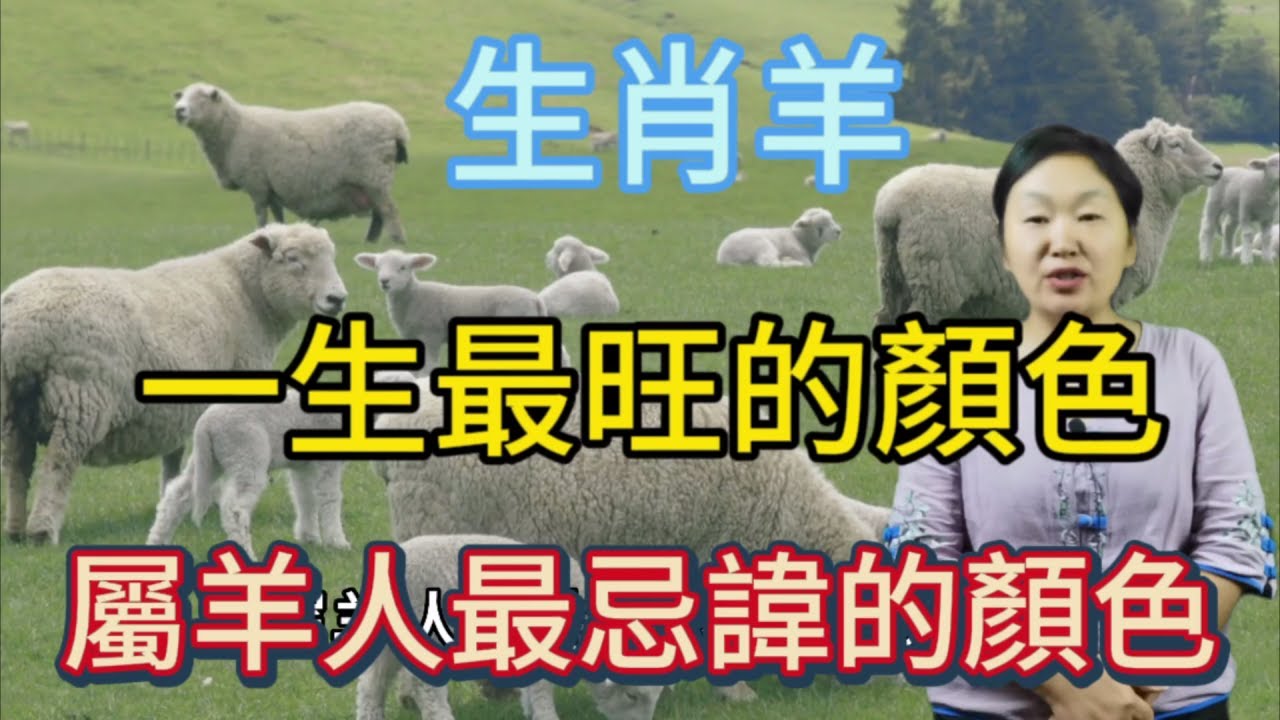 赶字解一生肖：生肖羊的勤劳与奔波