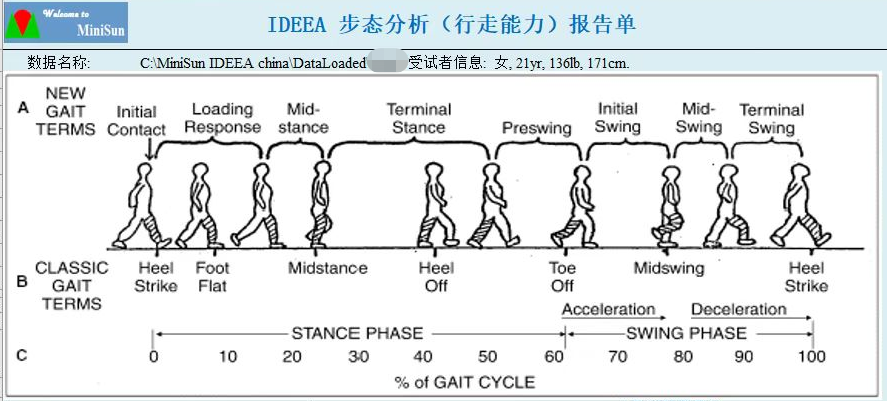 行路左右摆猜一生肖：解密生肖马的独特步态与文化象征