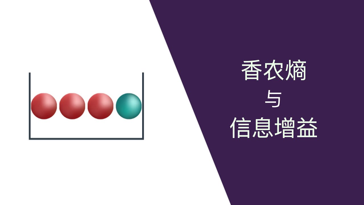 探秘最准一期新奥天天免费资料：信息准确性与风险评估