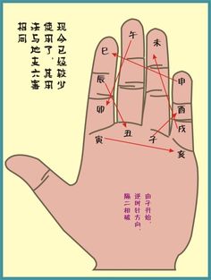 荒野地段暗指哪一生肖？深度解析生肖与环境的隐喻关系