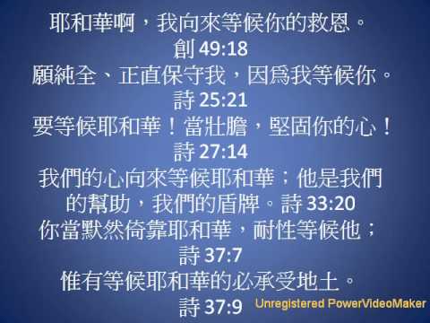 大召的动物白小姐打一生看：精心解说和分析