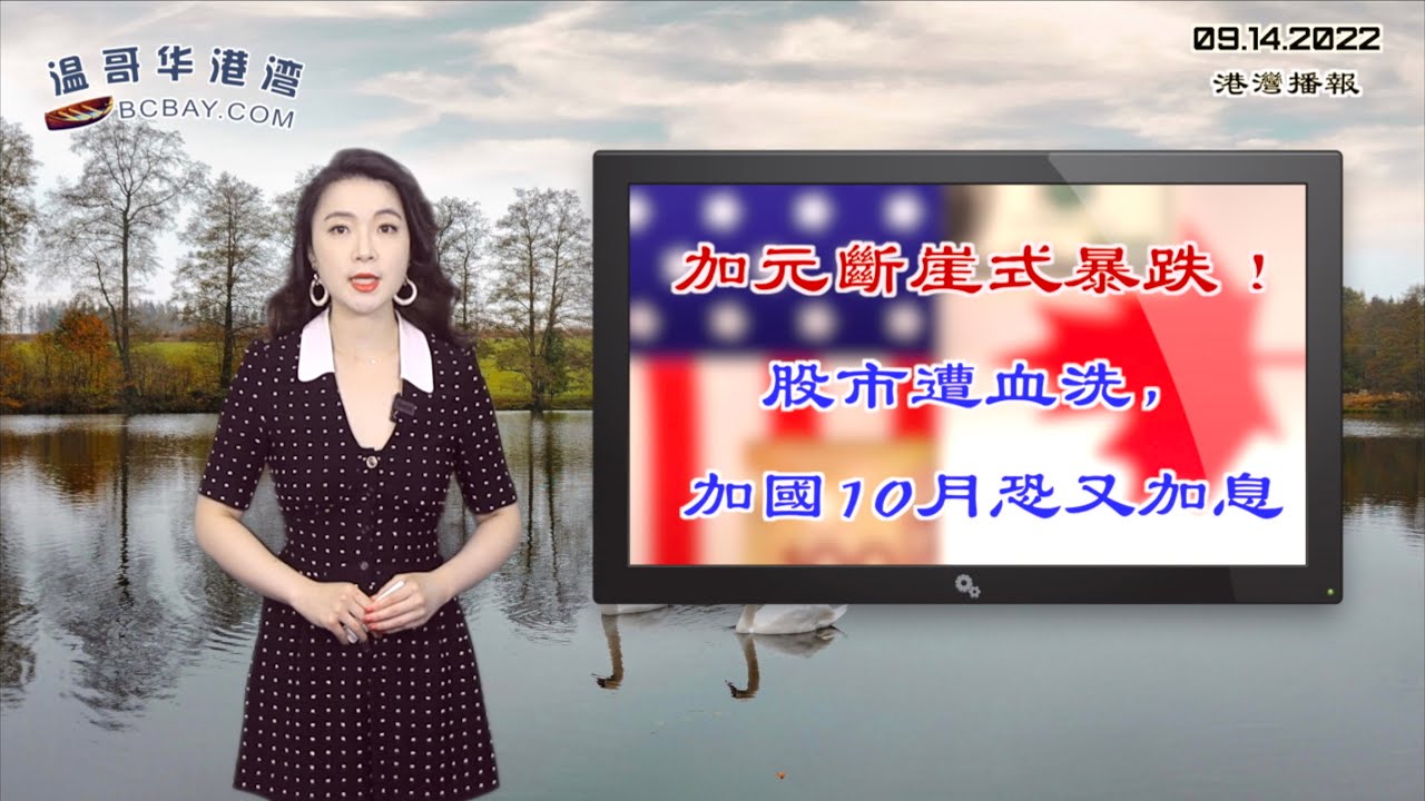 深度解析一波中特港澳宝典正版资料：信息来源、可靠性及风险提示