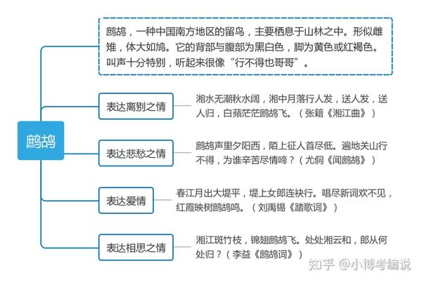 成熟的奶嘴白小姐，解析生肖背后的文化密码