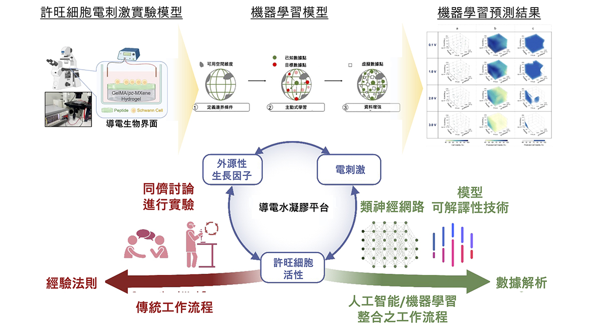 深度解读：今天必出香港管家婆今期马报图及相关信息分析