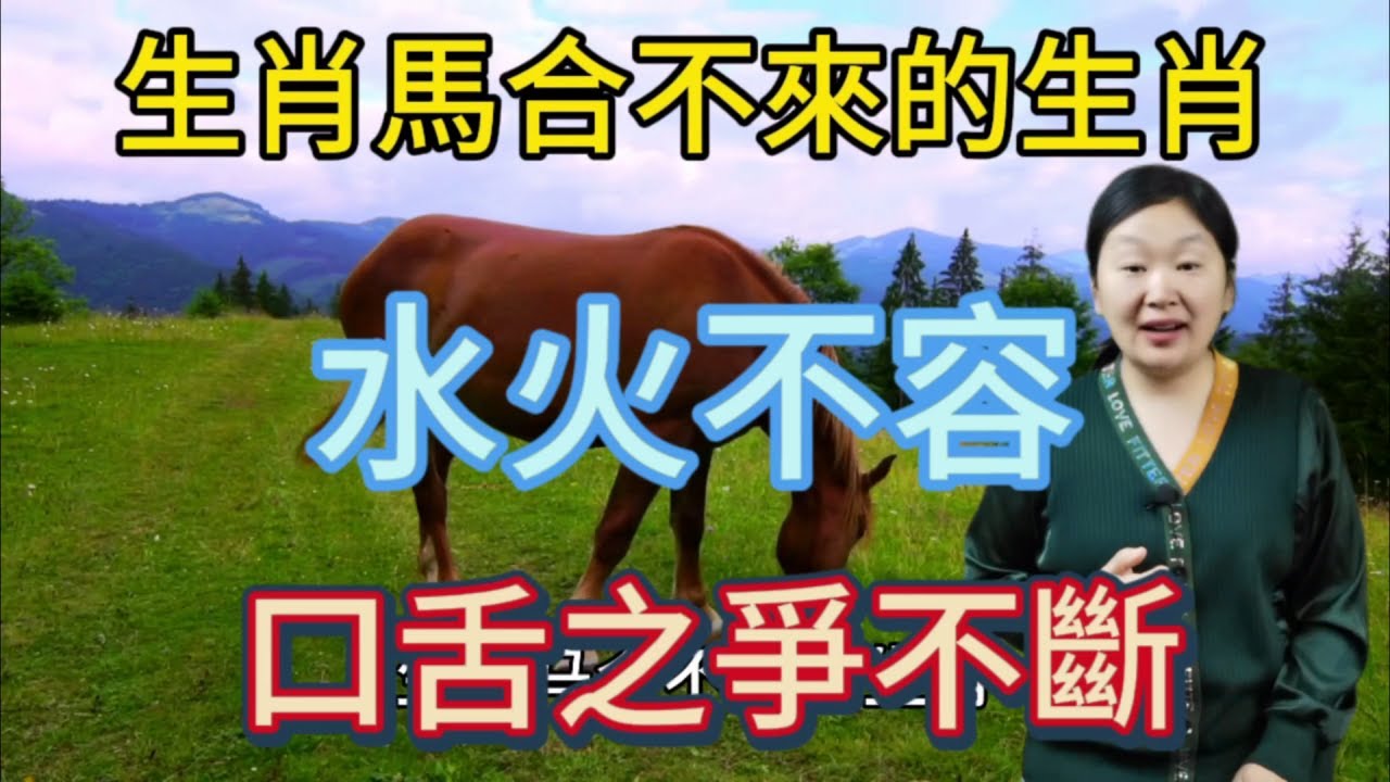 空气的回魂白小姐打一生肖：生肖解析及文化解读