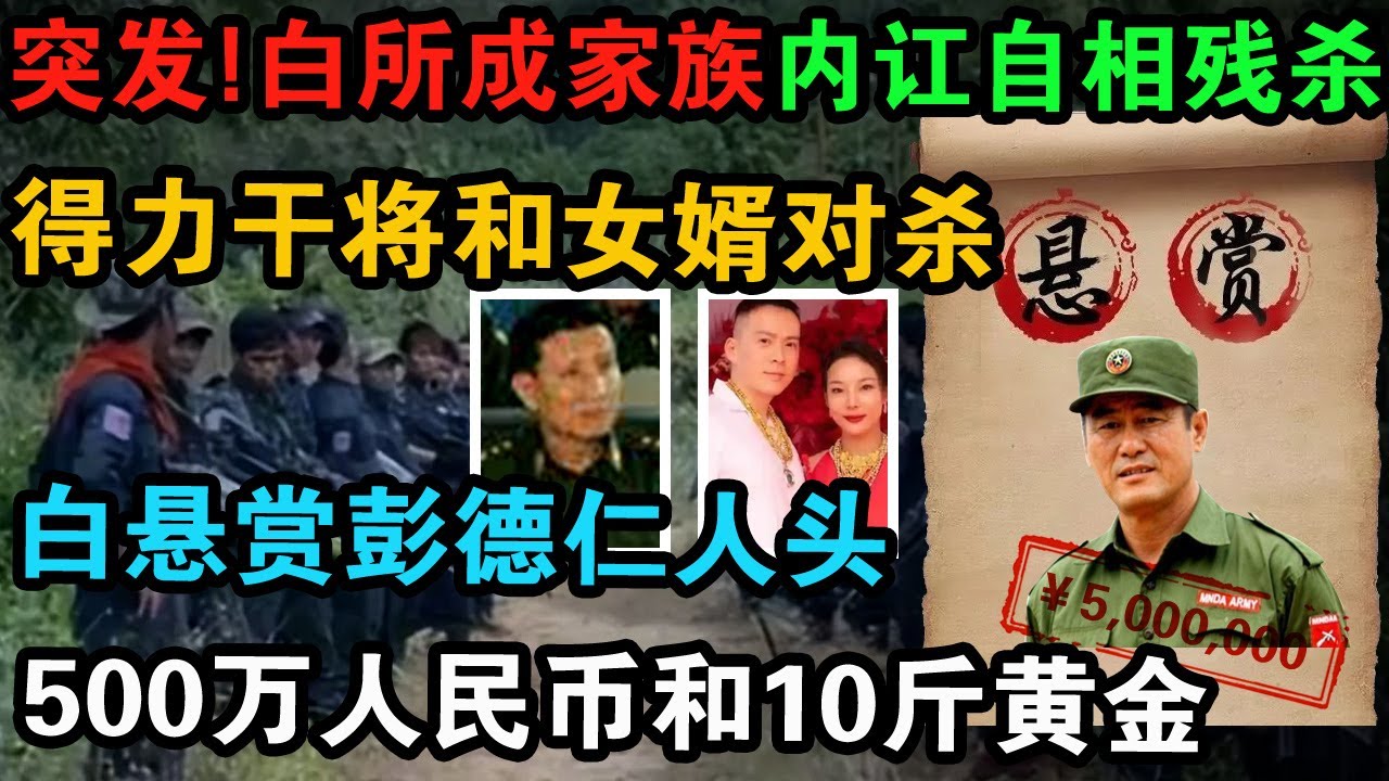 单折拜武冬白小姐打一生生者：从古代纪律论到现代数据分析