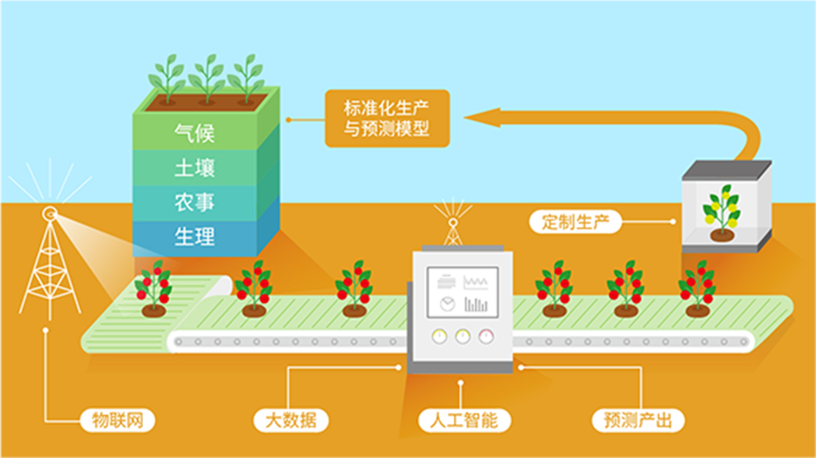 深度解析：绝杀三肖管家婆三期开一期精准背后的算法与策略