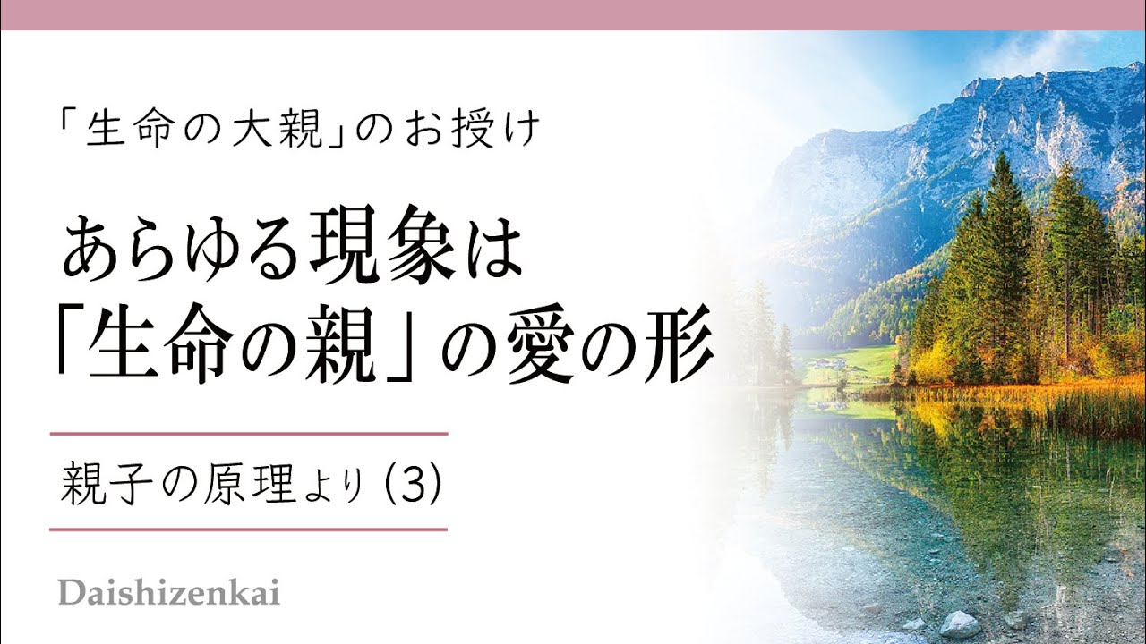 野心挑挑白小姐打一生看：从女性角色到关键物禽的解析