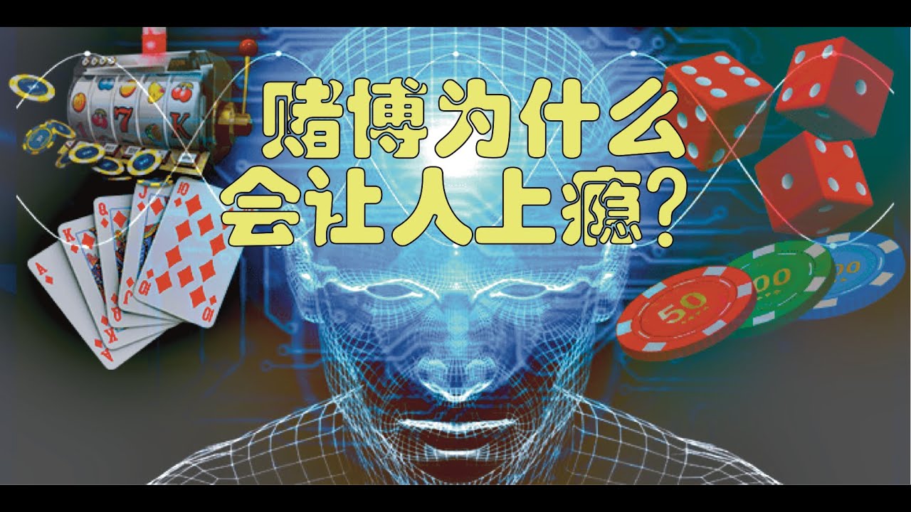 澳门精选澳门一肖一特100精准：深度解析及风险提示