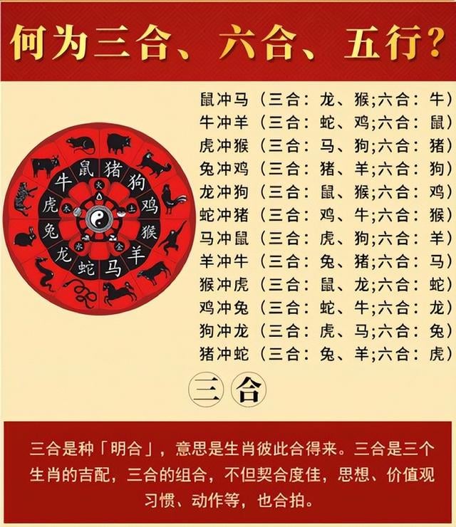 朝阳呜风白小姐打一生肖：解析谜题背后的生肖奥秘