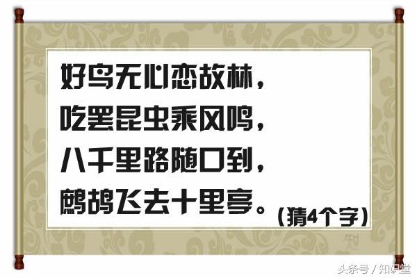 好吃怪做白小姐，打一生肖：趣味谜题背后的文化解读与生肖预测