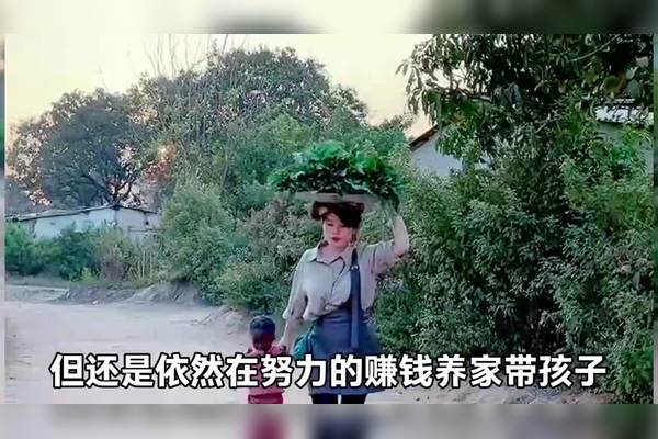 儿女振争气白小姐打一生狗：从数字到生涯的深入解释