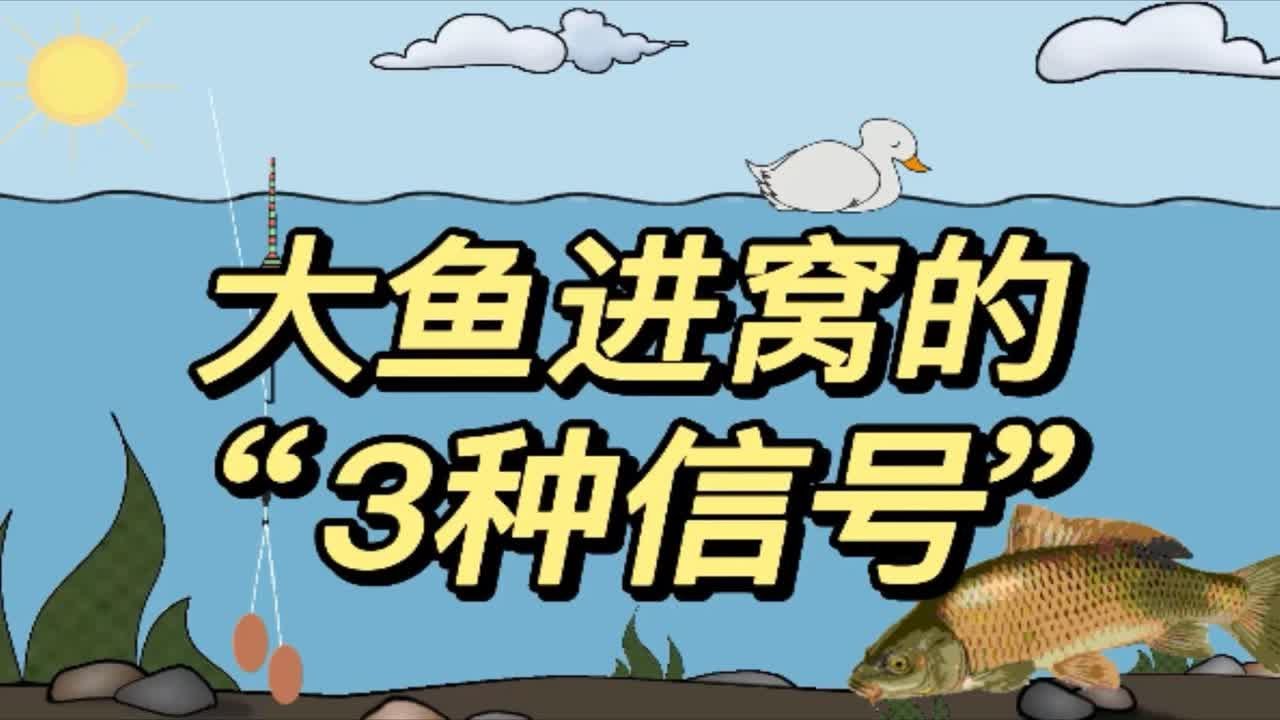 梦见野钓代表什么生肖？深度解读梦境与生肖的关联