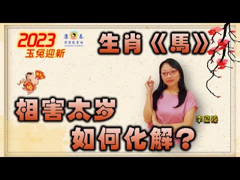 曾道人免费公开无私的动物打一生肖：解密生肖背后的玄机与文化内涵