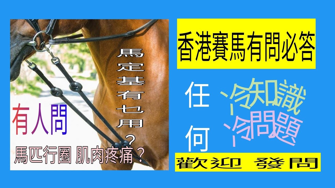 曾道人免费公开富贵来巳今方将打一肖：深度解析及未来趋势预测