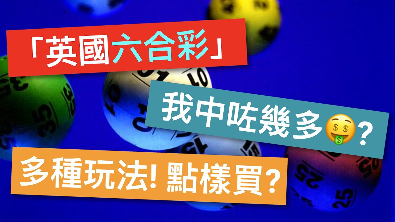 曾道人免费公开小鬼当家的动物打一肖：深度解析及未来趋势