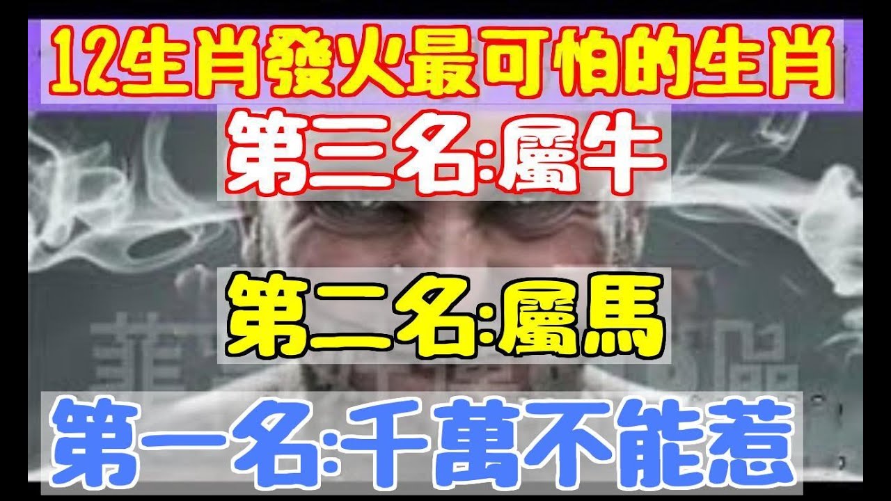 徐道人免费公开猜小冒：心急如火的生小冒动物是哪一只？