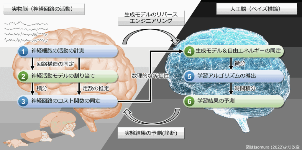 曾道人免费公开最快动物打一肖：解密背后的玄机与风险