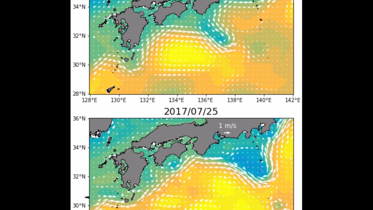 曾道人免费公开蛇年行好运一肖：深度解读及风险提示